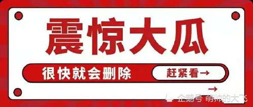 娱乐吃瓜八卦的网名大全,网名大全中的吃瓜八卦风云录